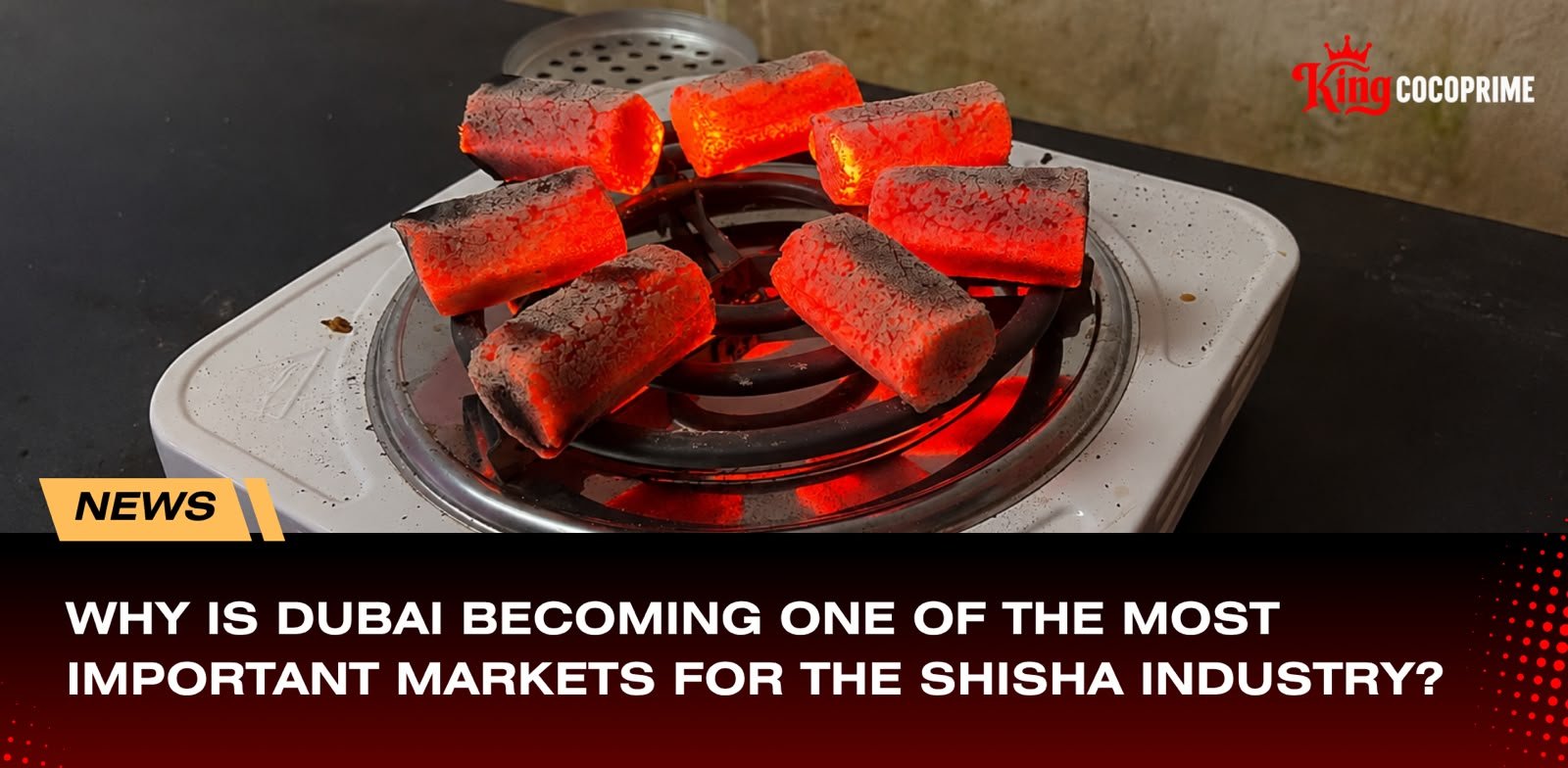 coconut shell charcoal briquettes for the growing Middle East shisha market